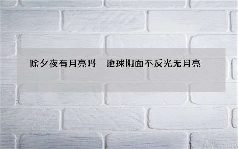 除夕夜有月亮吗 地球阴面不反光无月亮